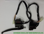 Switch assay